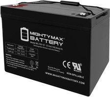 Mighty Max ML100-12 - 12 Volt