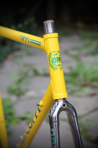 Fausto coppi team polti frame - coppi,