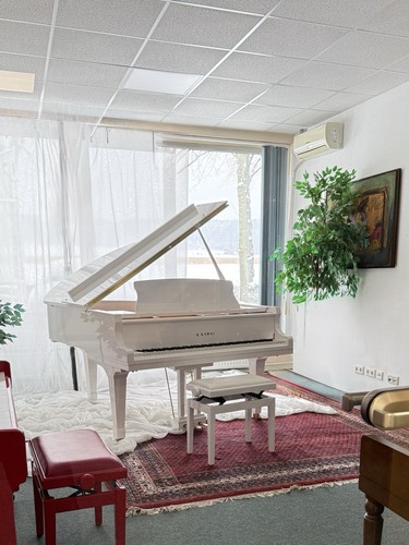 Kawai flügel 180cm - kawai, gx