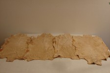 Persianer Breitschwanz