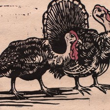 Farbholzschnitt Puten