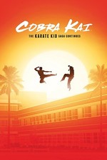 Cobra Kai Poster Karate Kid
