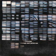 TRANSISTER Look Who's Perfect Now | Maxi-CD im Cardsleeve - 2 Tracks