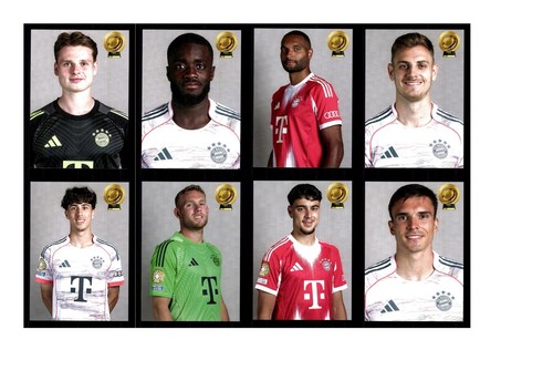 Autogrammkartensatz bayern - fc,