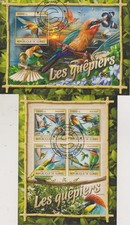 Bienenfresser Guinea