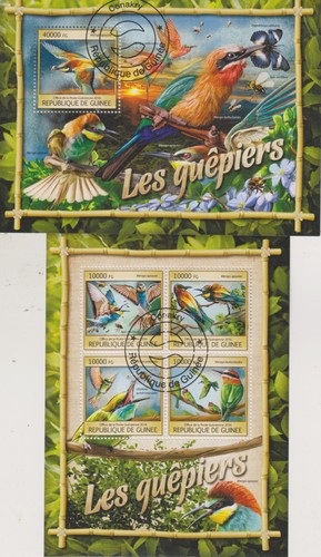 Bienenfresser guinea - bienenfresser,