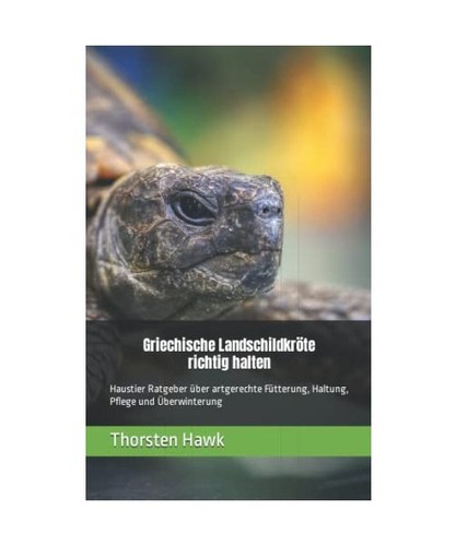 Griechische landschildkröte - griechische,