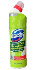 5,11€/L - 12er Pack Domestos WC-Gel Kraft & Frische - Lime Fresh - 750ml