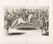 Reitschule riding school Pferd