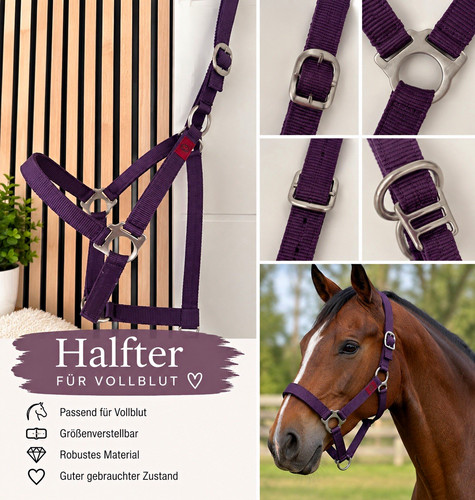 Violettes nylon pferdehalfter - violettes, nylon-pferdehalfter