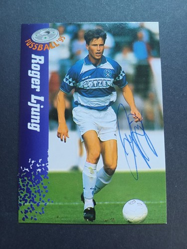 Roger ljung msv duisburg - roger,