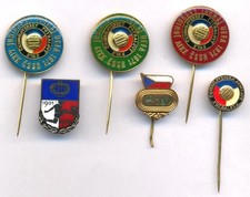 Vintage-Anstecknadel des