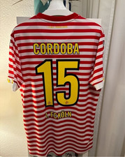 1. FC Köln Trikot Karneval 2018/ 2019 Ringel inkl Flock Nr. 15