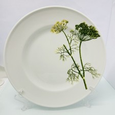 Dibbern Herbaticum 1 Teller