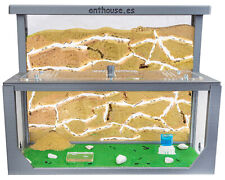 Natürliche Ameisenfarm aus