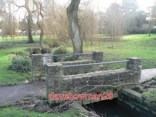 Foto coy pond - coy, gardens