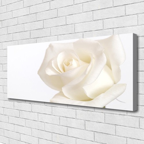 Leinwand bilder wandbild - leinwand-bilder,
