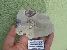 fluoritisiertes fossiles Holz