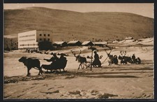 Ansichtskarte Pallastunturi, Rentiere ziehen Schlitten 