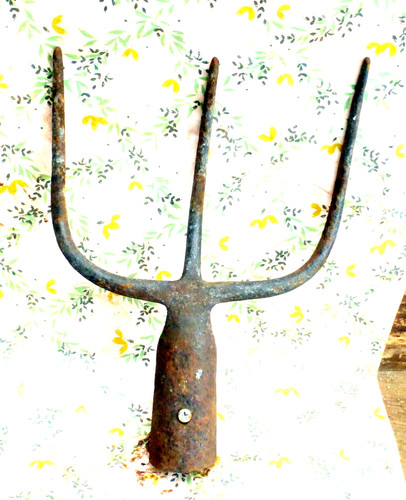 Alte zinken mistgabel - zinken,