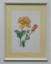 Aquarell Blumen Rose Gloria