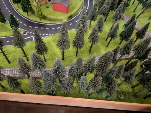 Tannenbäume wald baum für - baum,