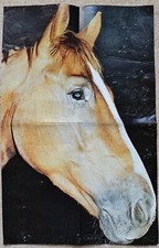 Poster Bild Pferdeposter Pferde