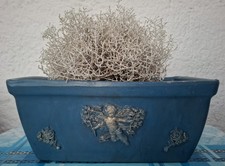 Blumentopf Pflanzkasten