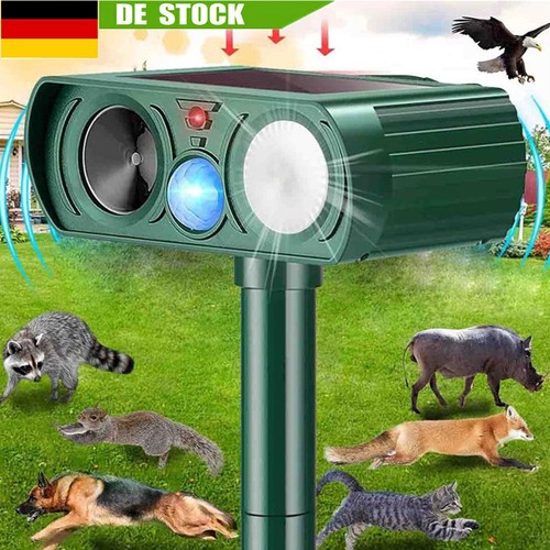 Solar ultraschall - solar,