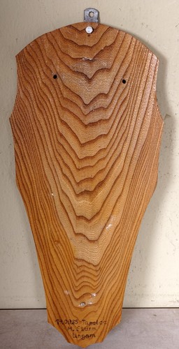Schönes trophäenbrett - schönes,