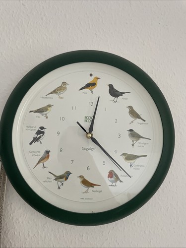 Koo heimische singvögel - koo,