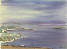 Professor Vesna Kajić-Lalić