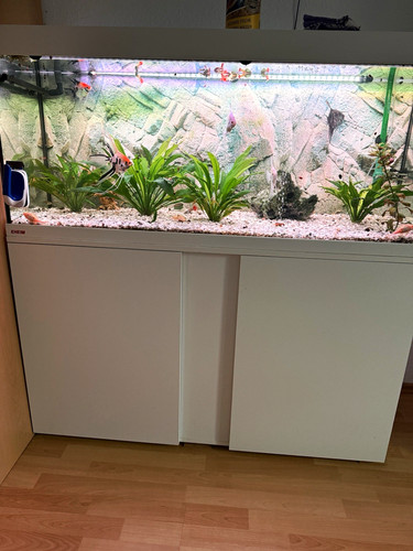 Eheim aquarium mit - aquarium,