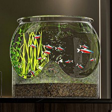Runde Fischschale