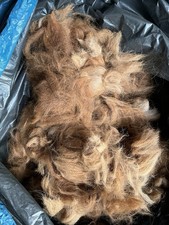 600g Alpaka Rohwolle Braun unbehandelt,ungewaschen