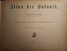 Atlas der Botanik. 30 Tafeln