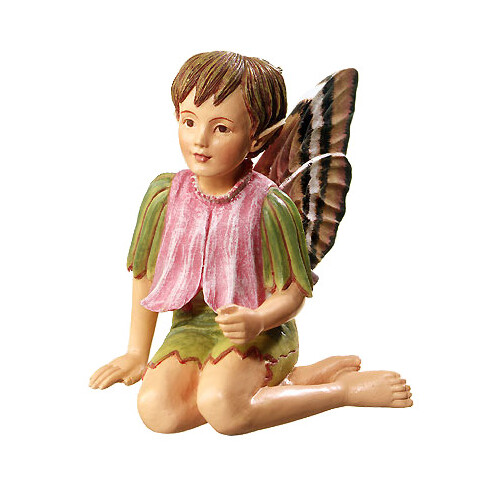 Flower fairy ruprechtskraut - flower,