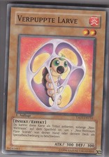 YU-GI-OH Verpuppte Larve