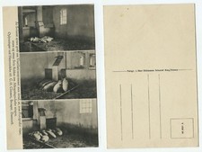 08011 - Schweinestall in Burg, Fehmarn - dänische Ansichtskarte