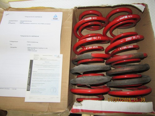 29981 tieferlegungsfedern - 29981,