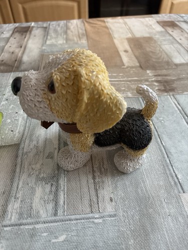 Hund cm groß - cm,
