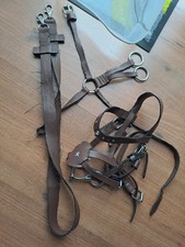 Hobby Horse Trense - Kunstleder in der Farbe Braun mit Martingal