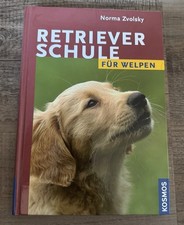 Retrieverschule für Welpen