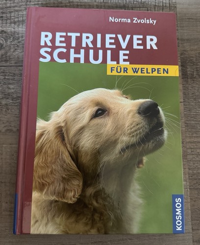Retrieverschule für welpen - retrieverschule,