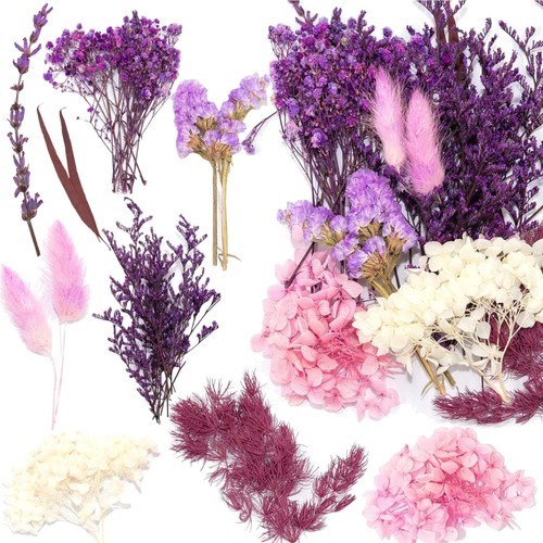 Natürliche trockenblumen set - natürliche,