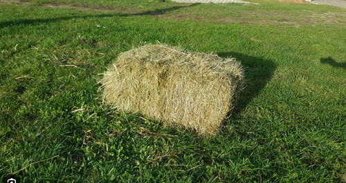Bio heuballen für - bio,