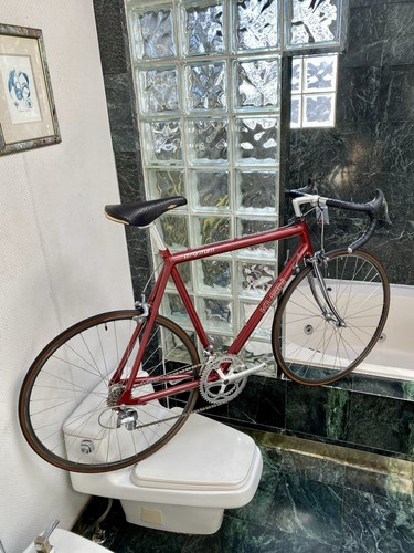 1980 klein - (size,