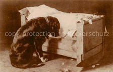 Hunde Hund vor Kinderbettchen