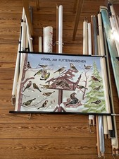 Wandkarte,Rollkarte,Schulkarte