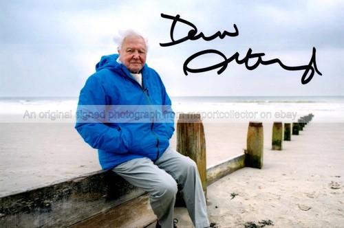 Sir david attenborough - david,